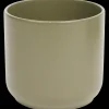 Bloempot