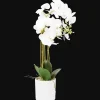 Kunst orchidee in pot