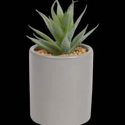 Kunst vetplant in pot