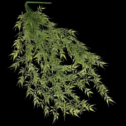 Kunsthangplant