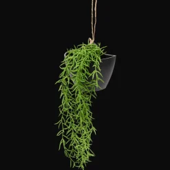 Kunsthangplant