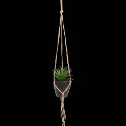 Kunst-vetplant in hangpotje