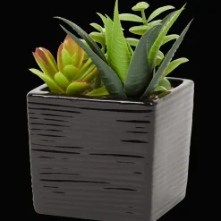 Kunst-vetplant in pot
