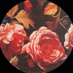 Rond canvas