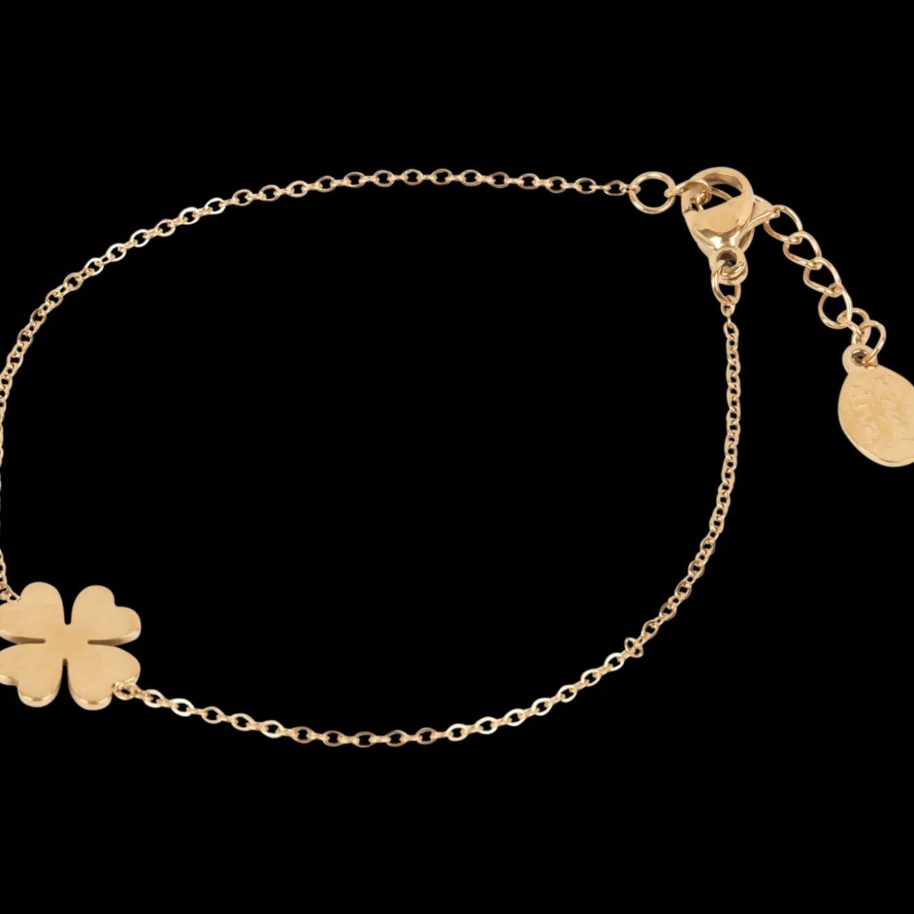 Royal Divas roestvrijstalen armband
